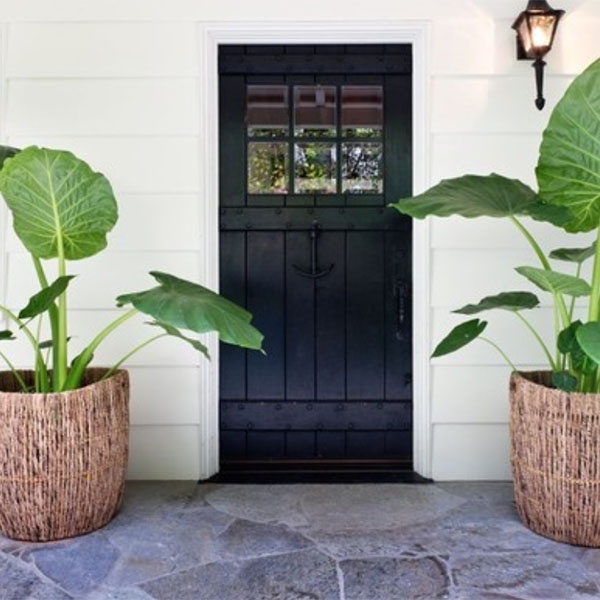 30 Things to Do at Home When Cabin Fever Strikes